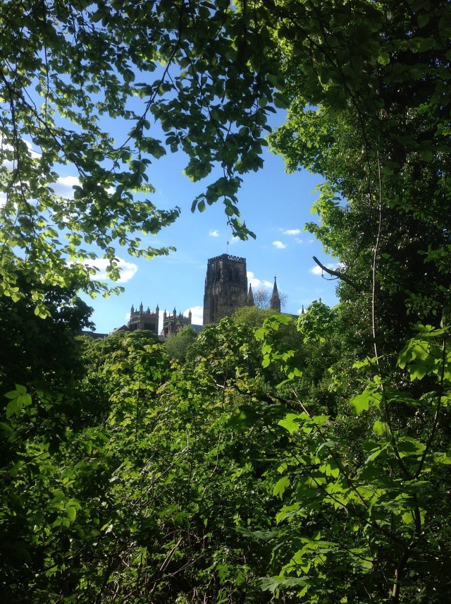 A glimpse of Hogwarts