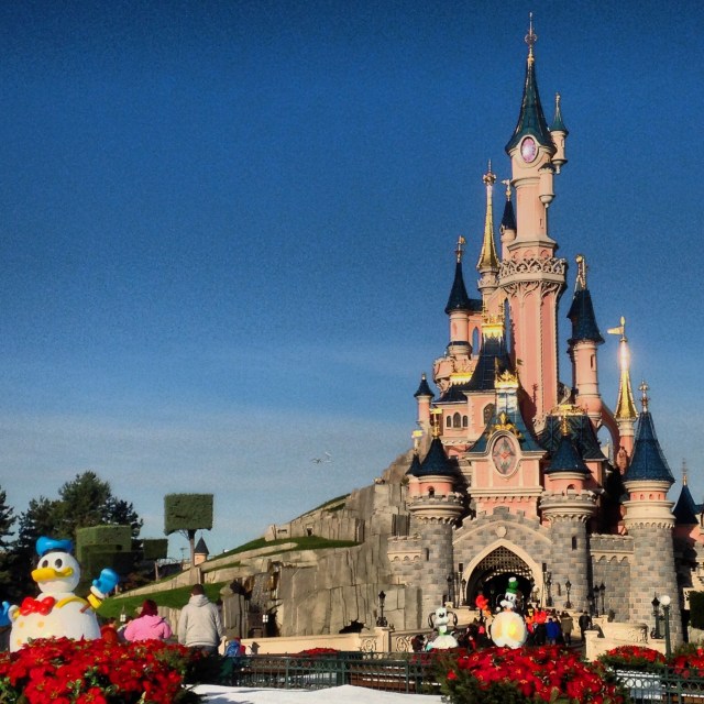 sleeping beauty castle 